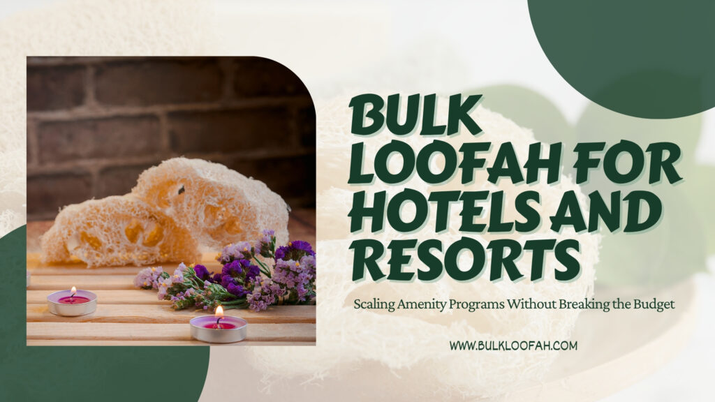 Bulk Loofah Hotel Resort Amenity Guide 2026 Bulkloofah