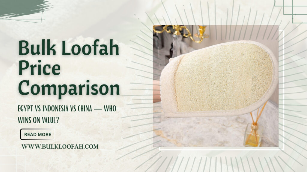 Bulk Loofah Price Comparison by Country 2026 Bulkloofah