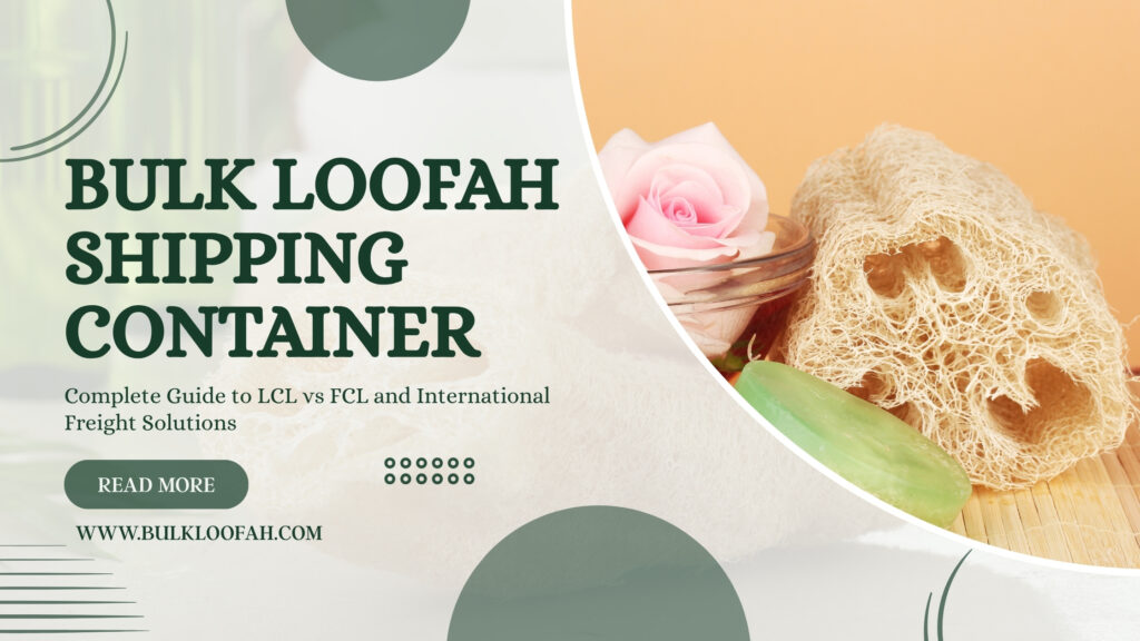 Bulk Loofah Shipping Container Guide 2026 Bulkloofah