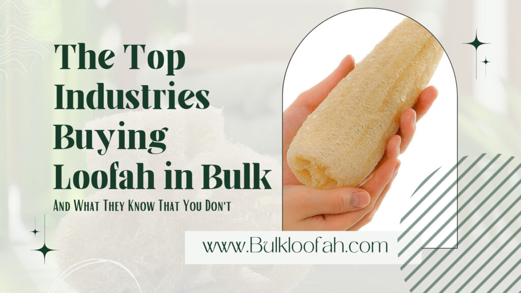 Industries Buying Loofah Bulk Wholesale 2026 Bulkloofah