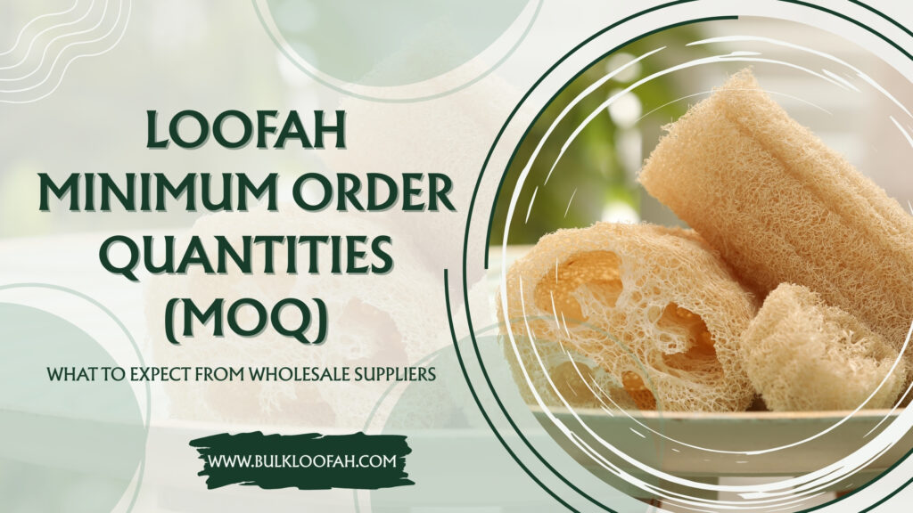 Loofah Minimum Order Quantity MOQ 2026 Guide Bulkloofah